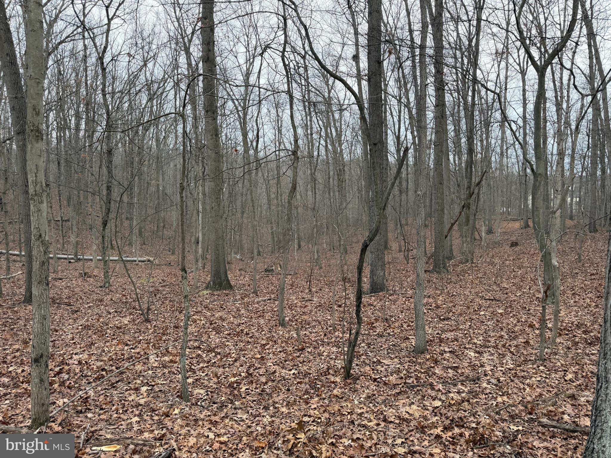 HAWKS NEST - Residential