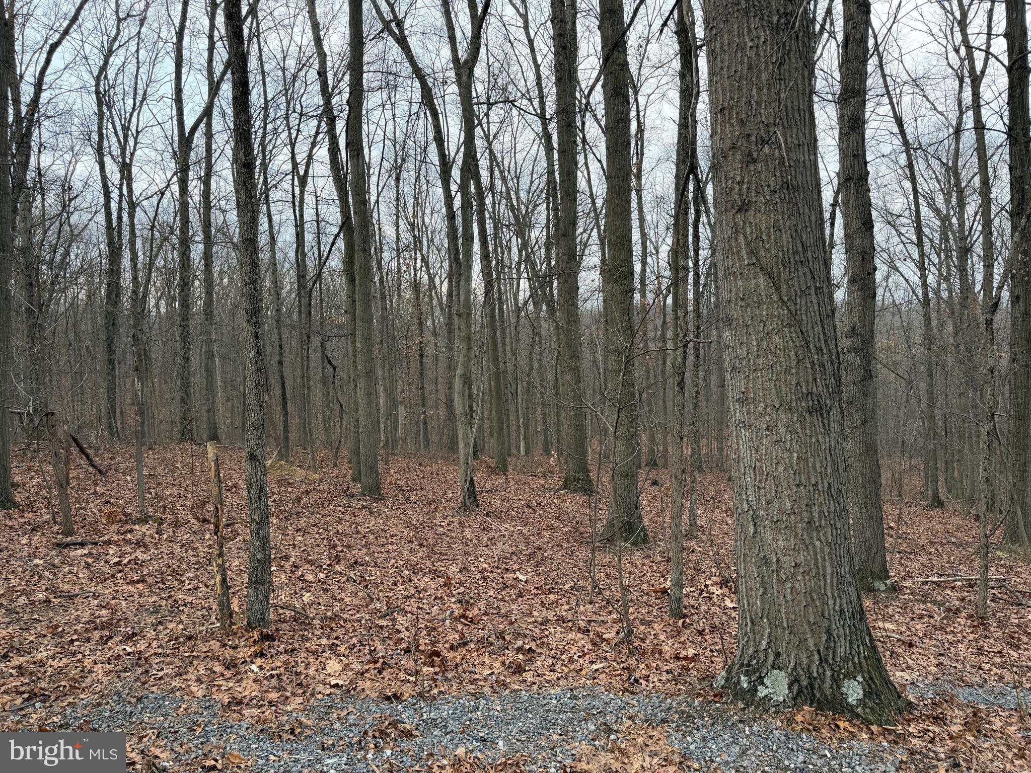 HAWKS NEST - Residential