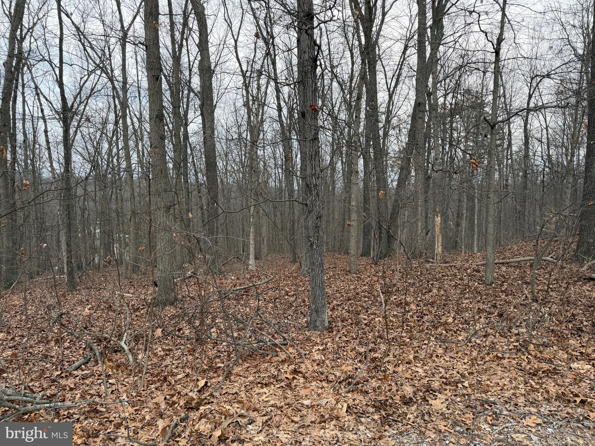 HAWKS NEST - Residential