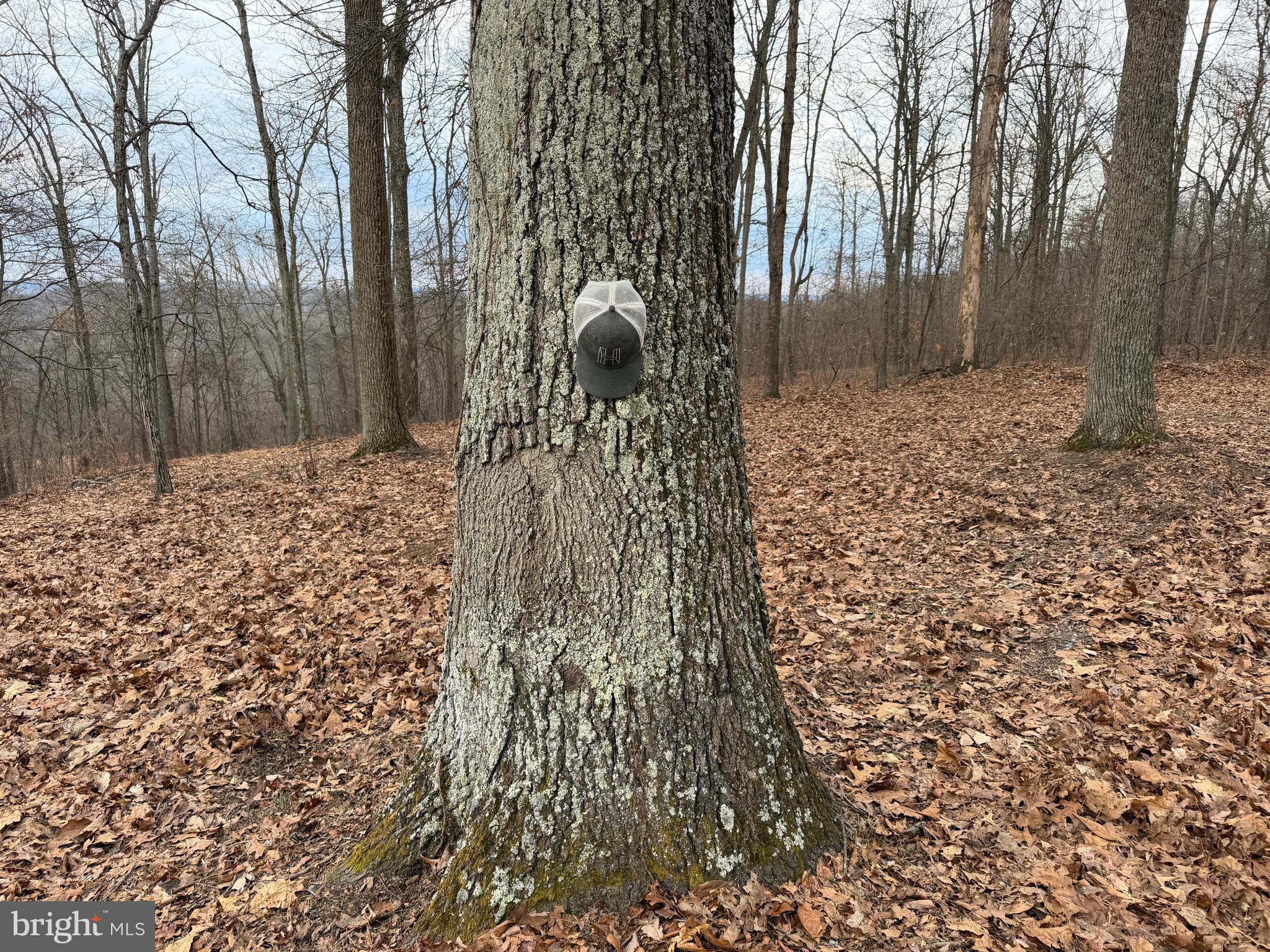 HAWKS NEST - Residential