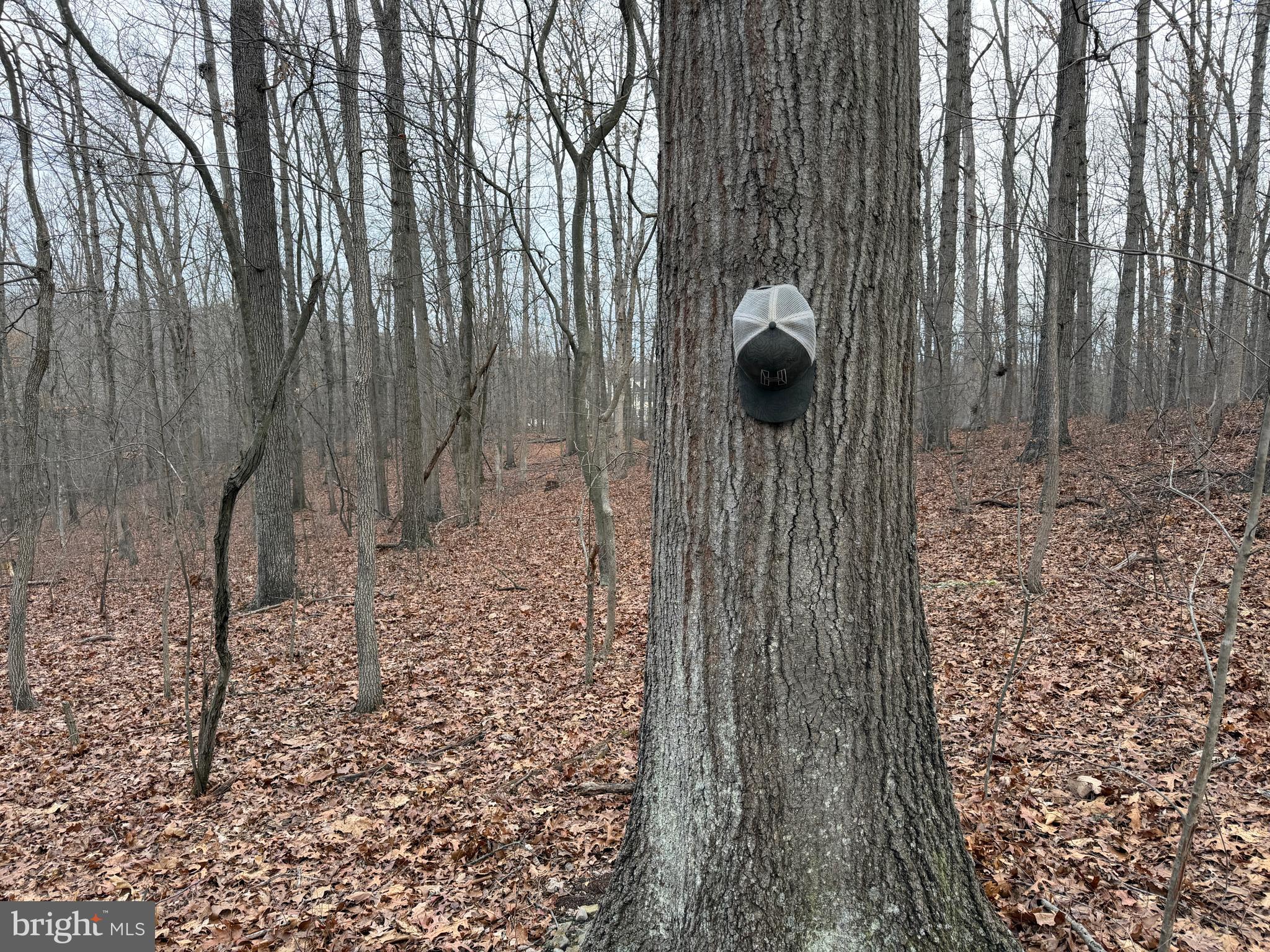 HAWKS NEST - Residential