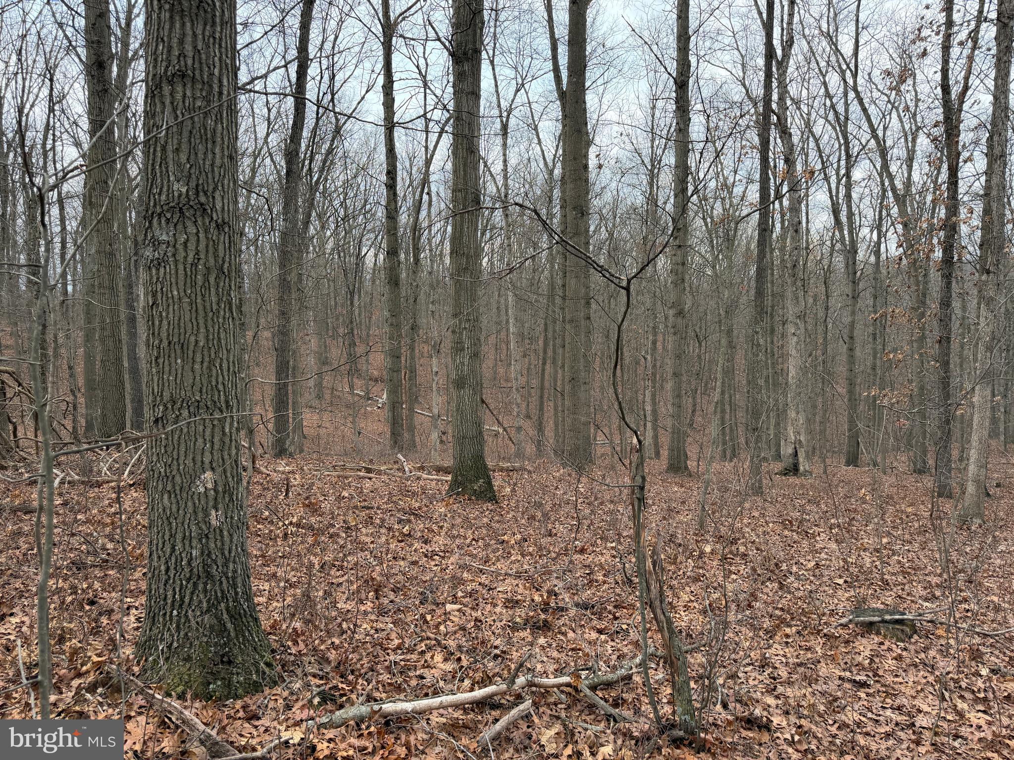 HAWKS NEST - Residential