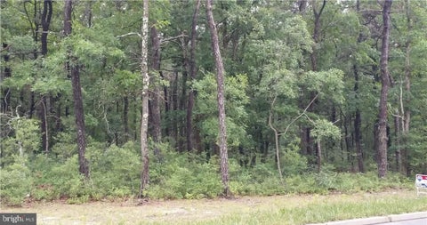 Vacant Land For Sale - Elizabeth Avenue<br/> BAYVILLE, NJ 08721