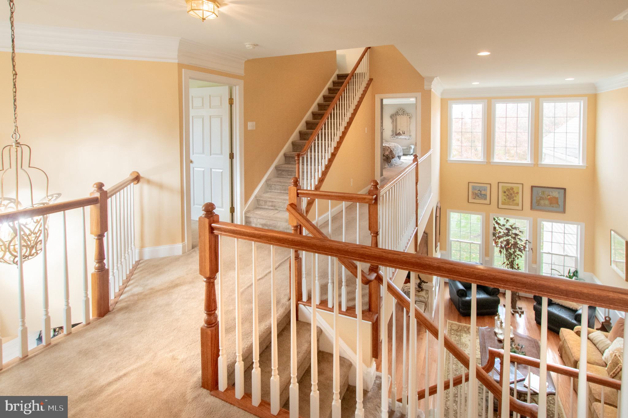 CHARLESTOWN MEADOWS - Residential