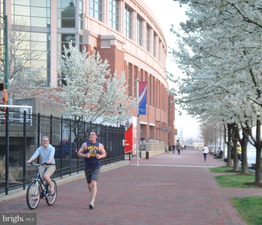 HARBOR EAST - Residential Lease