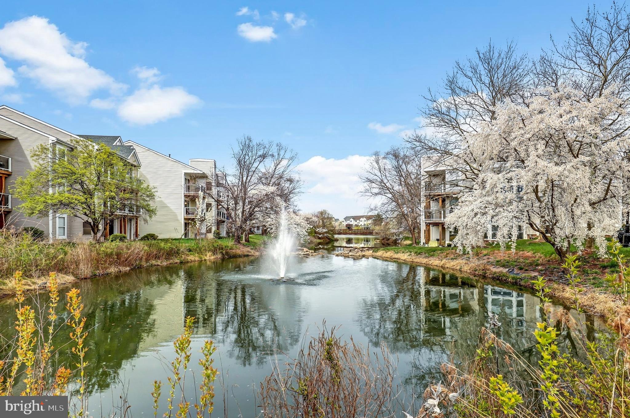 ASHBURN VILLAGE - Residential