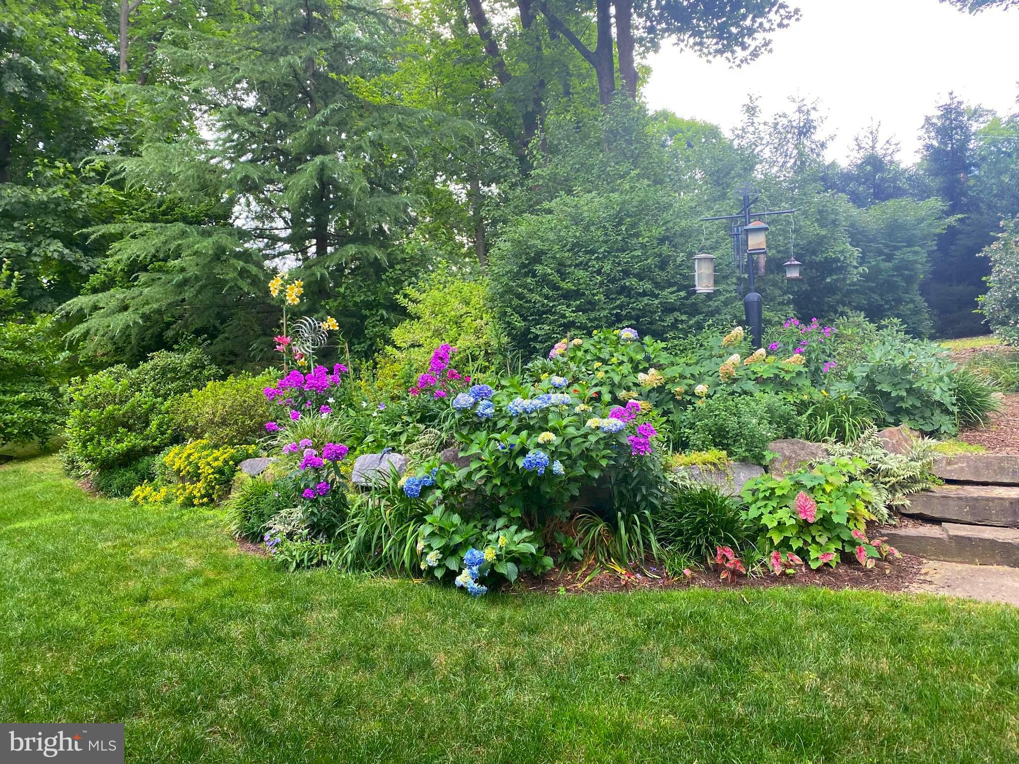 RADNOR HUNT - Residential