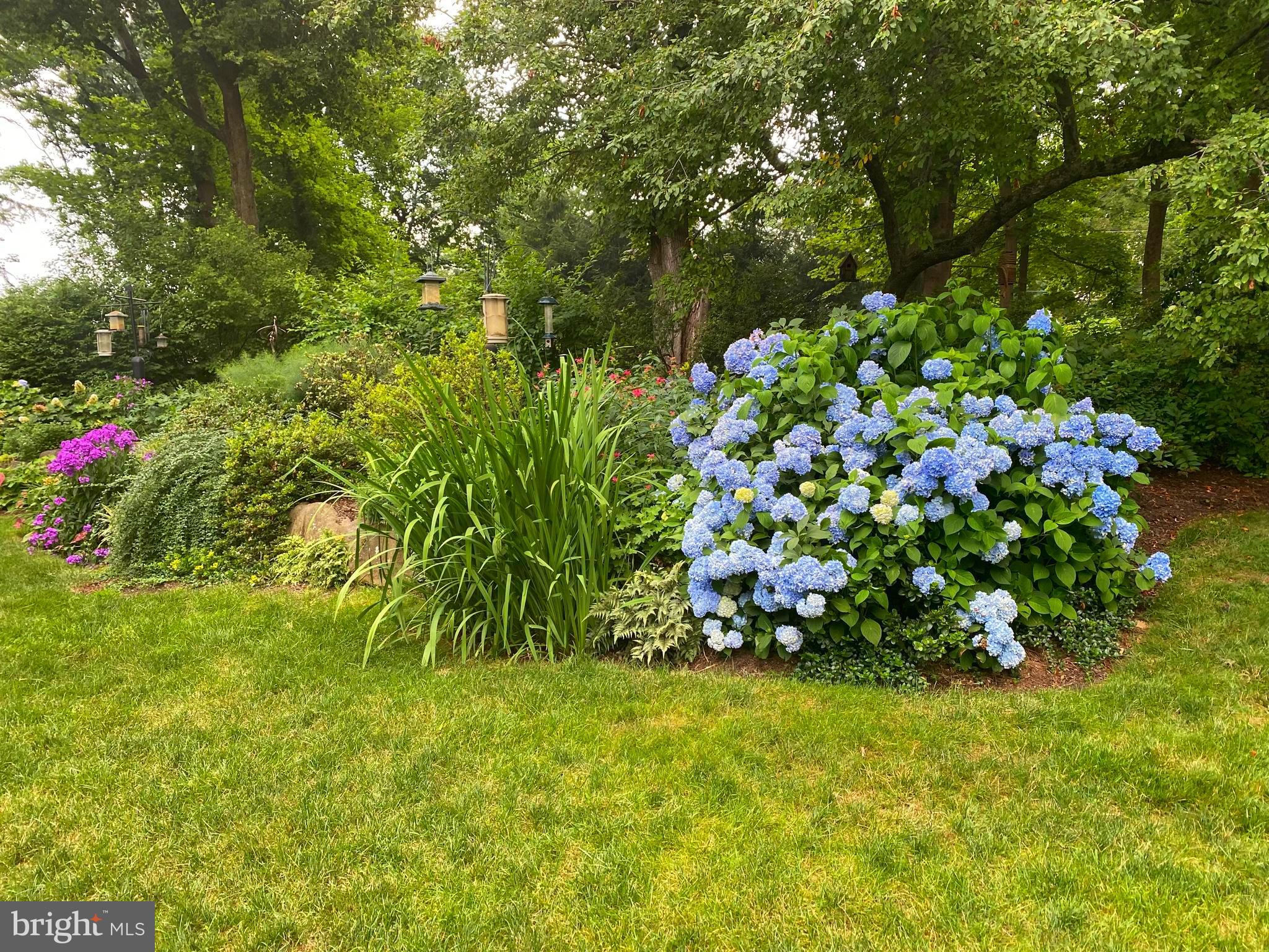 RADNOR HUNT - Residential