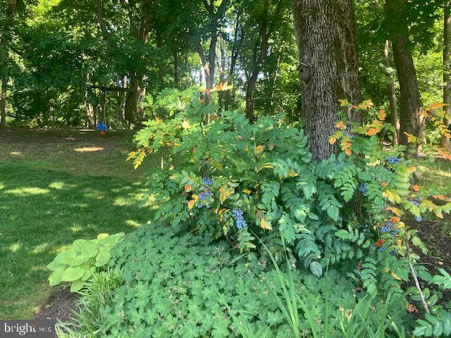 RADNOR HUNT - Residential