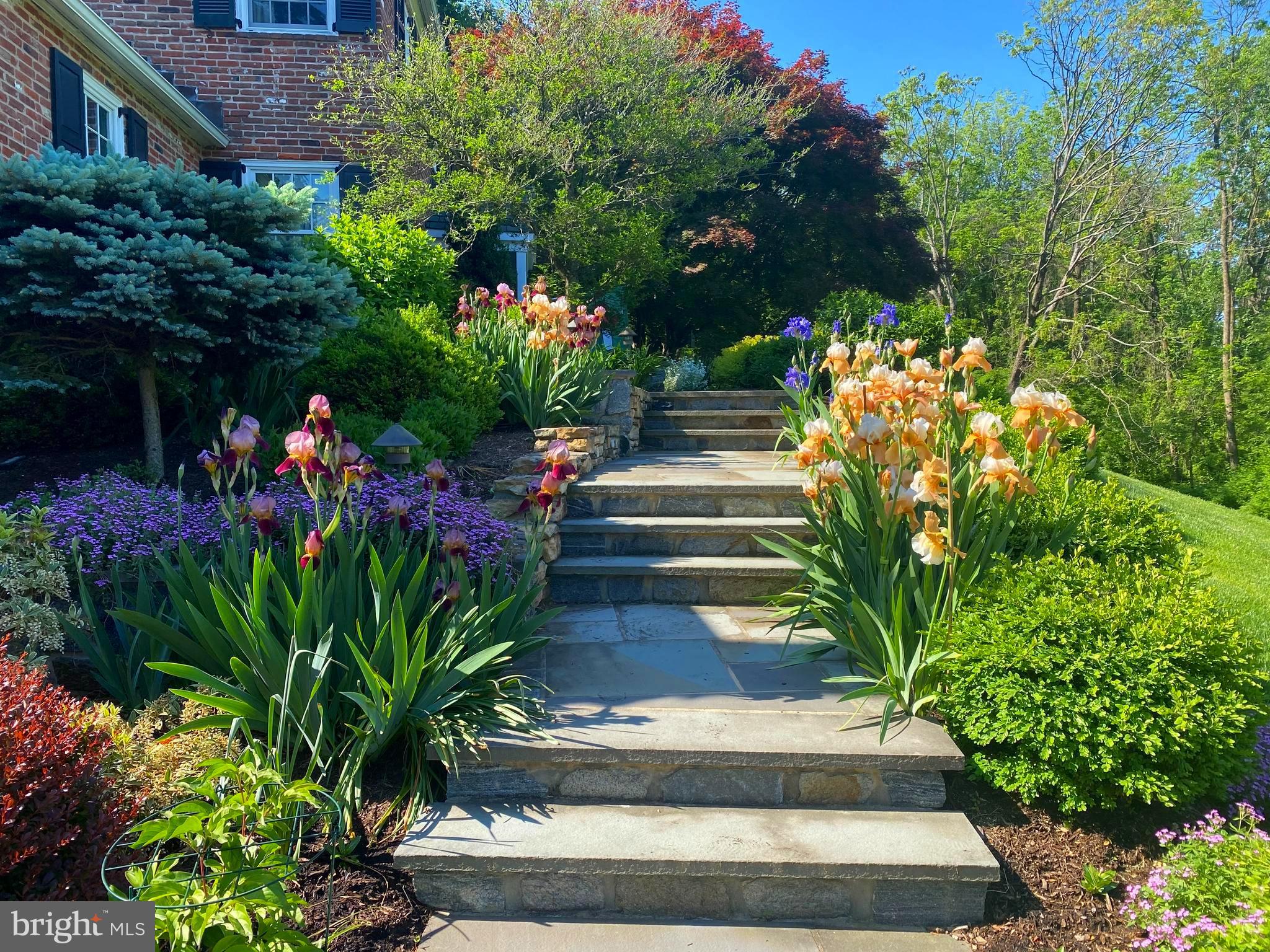 RADNOR HUNT - Residential