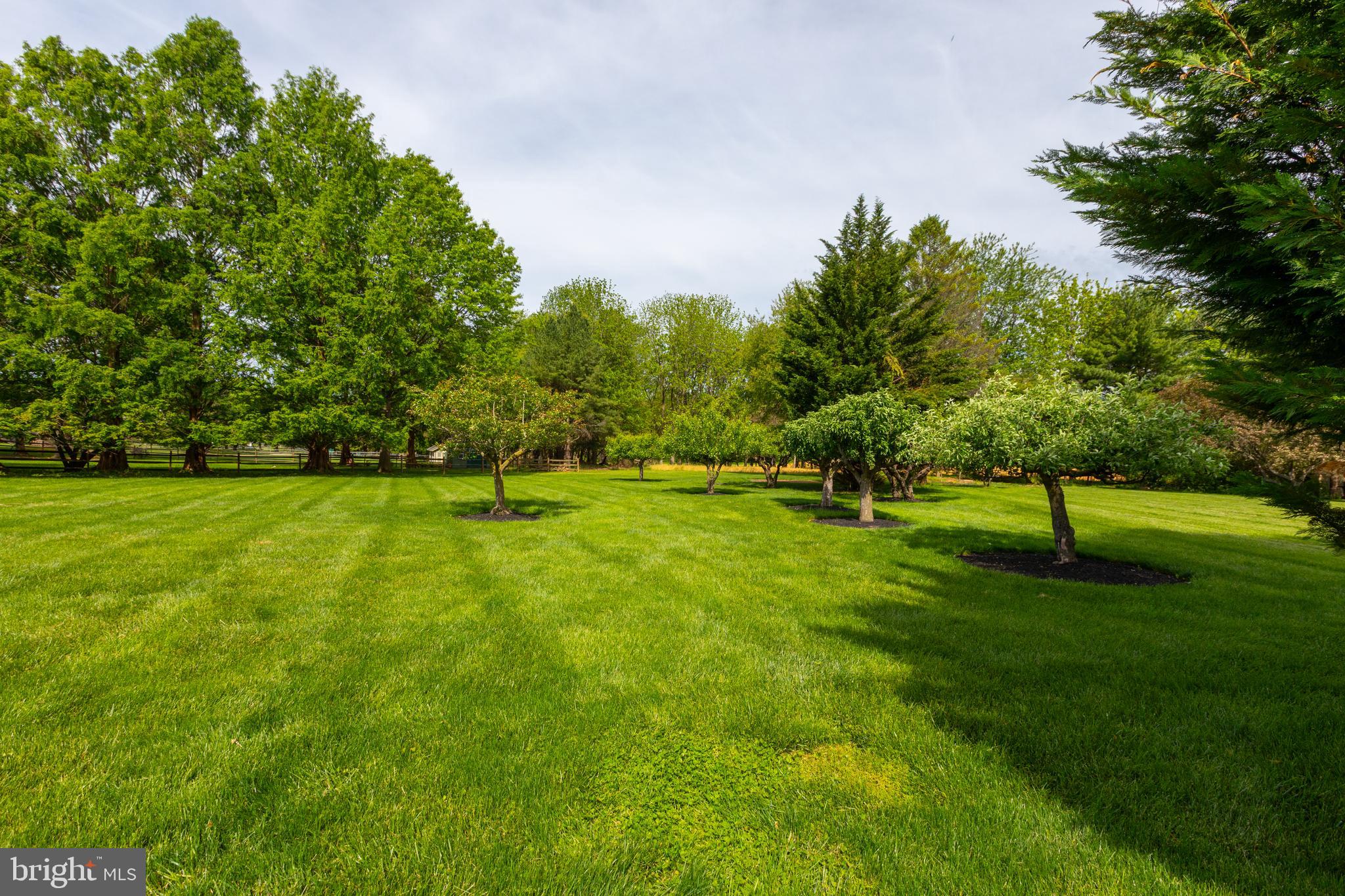 HICKORY HILL - Residential