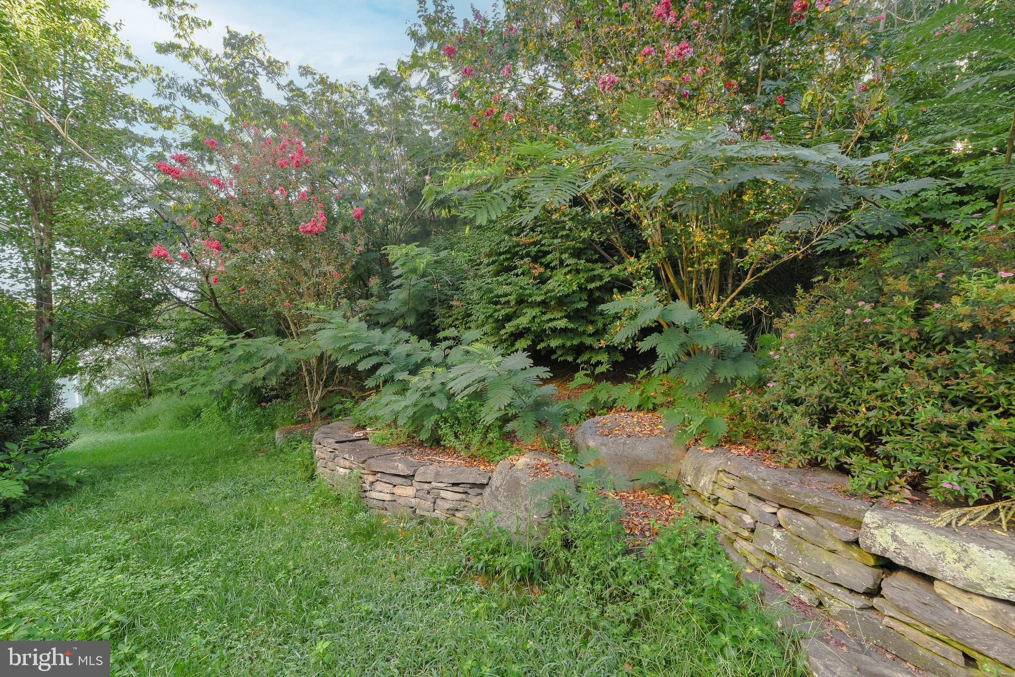 ACADEMY HILLS - Residential Lease