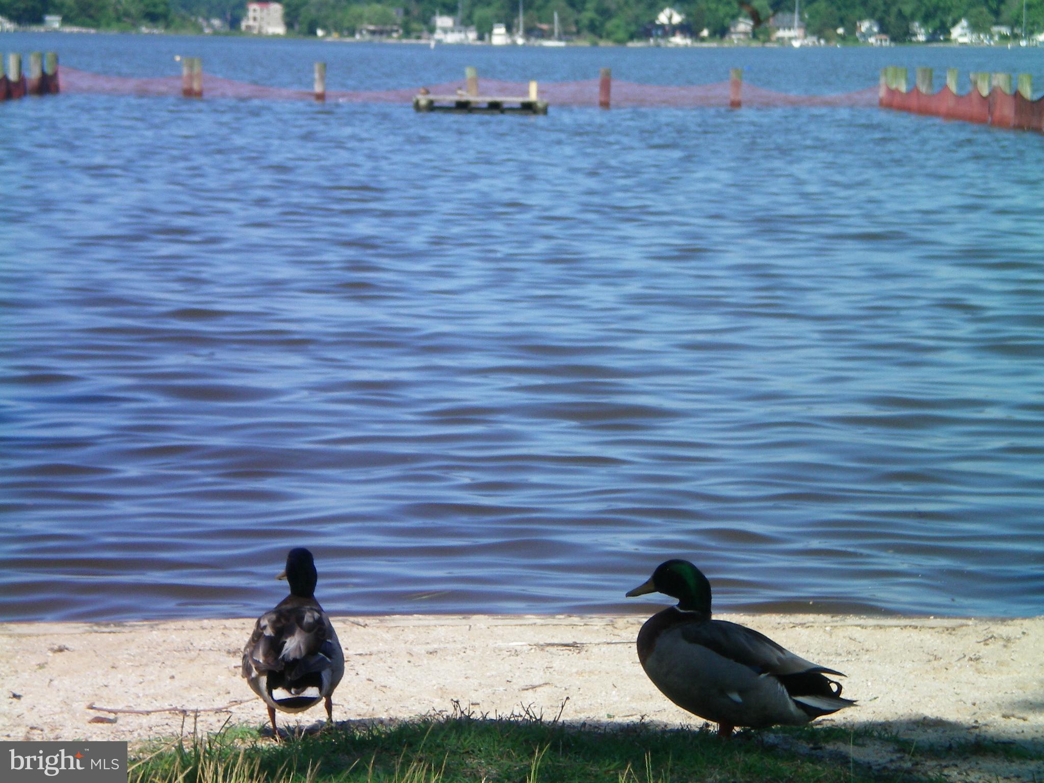 AVALON SHORES - Residential