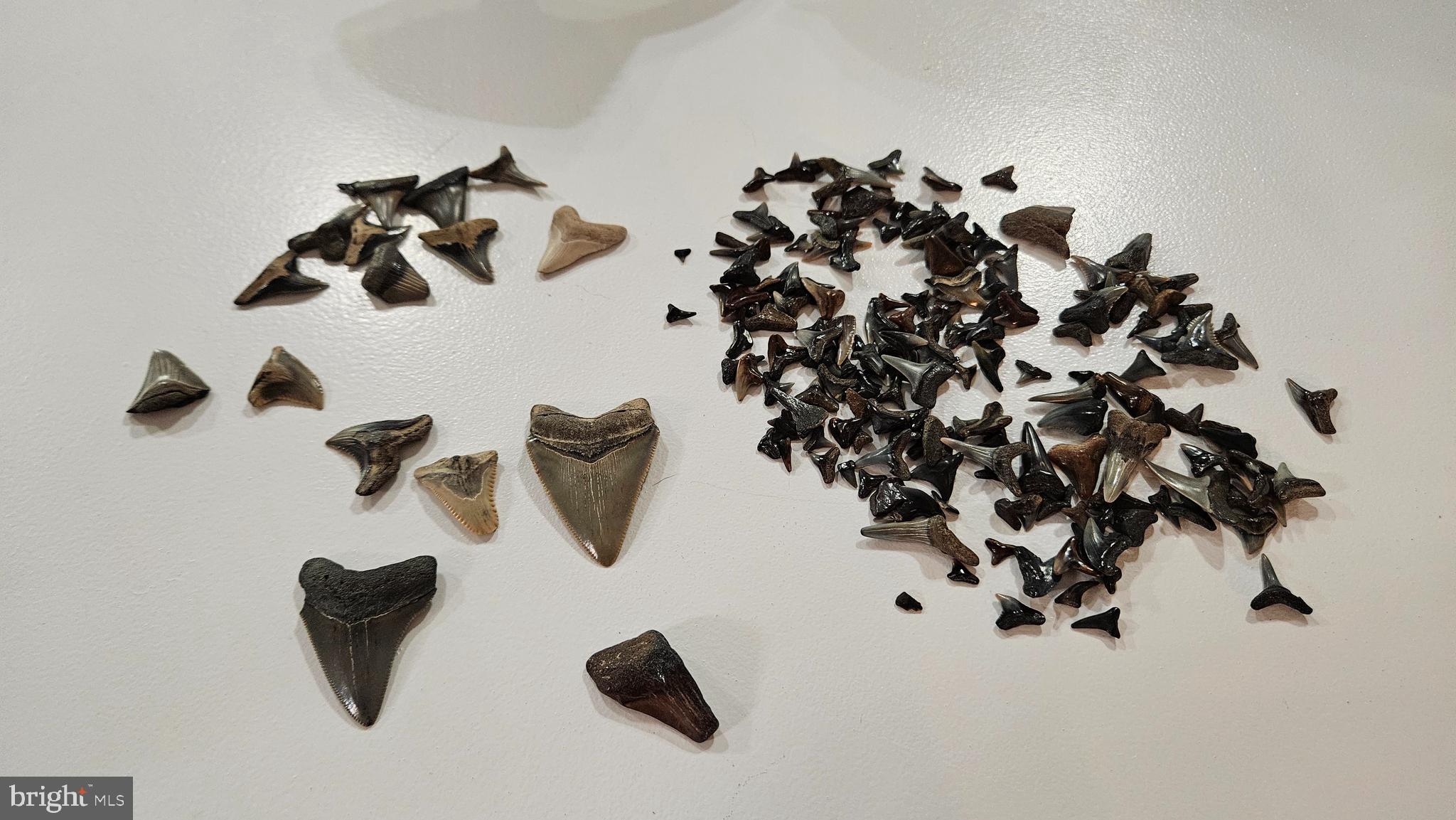 HOLIDAY BEACH - Residential