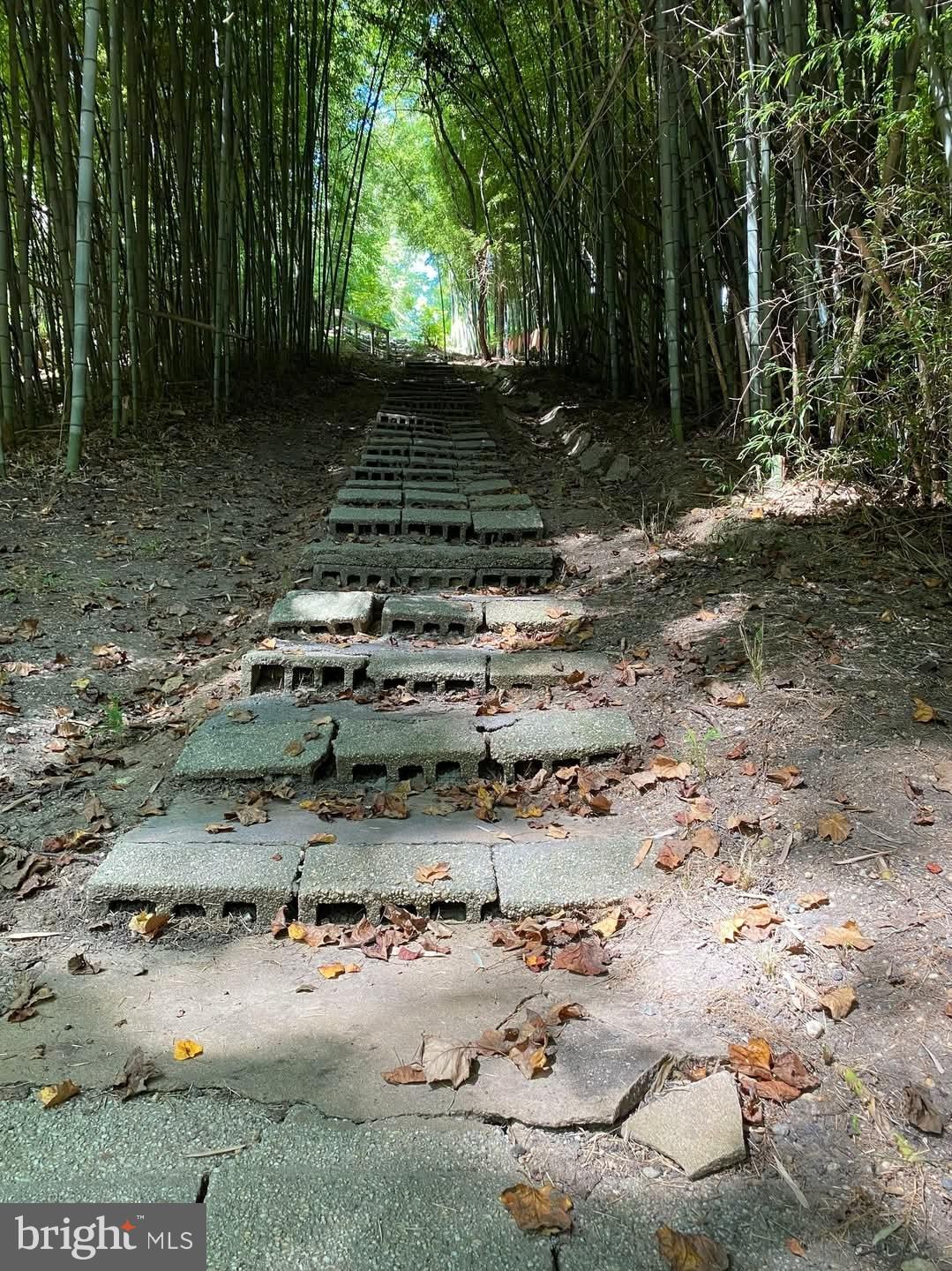 HOLIDAY BEACH - Residential