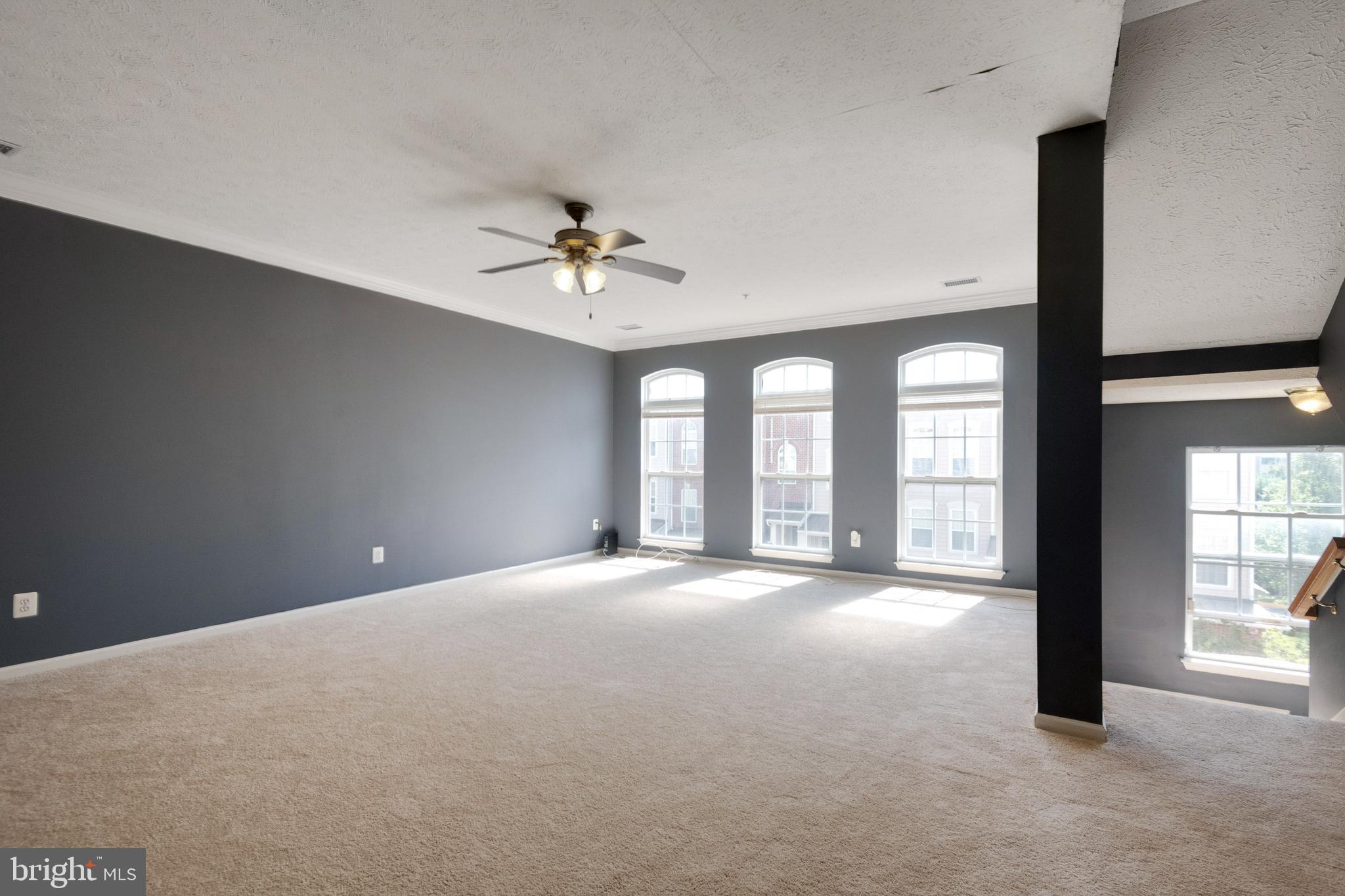 VILLAGE OF MILL RUN - Residential