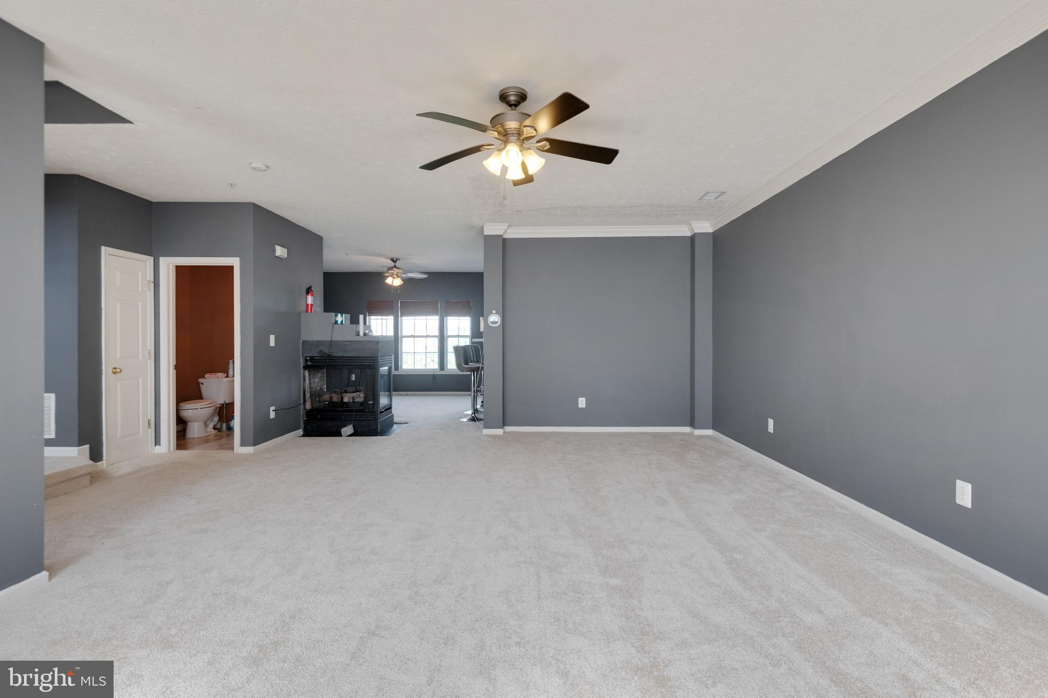 VILLAGE OF MILL RUN - Residential