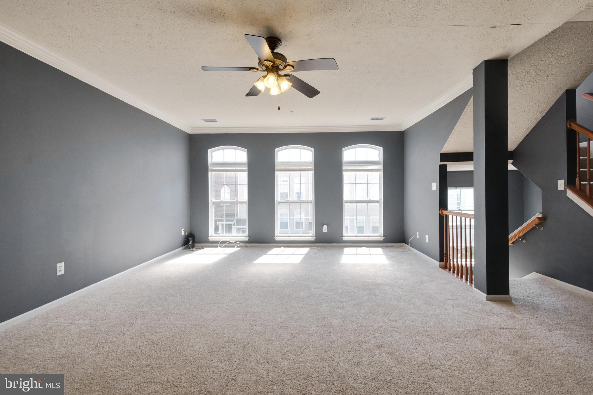 VILLAGE OF MILL RUN - Residential