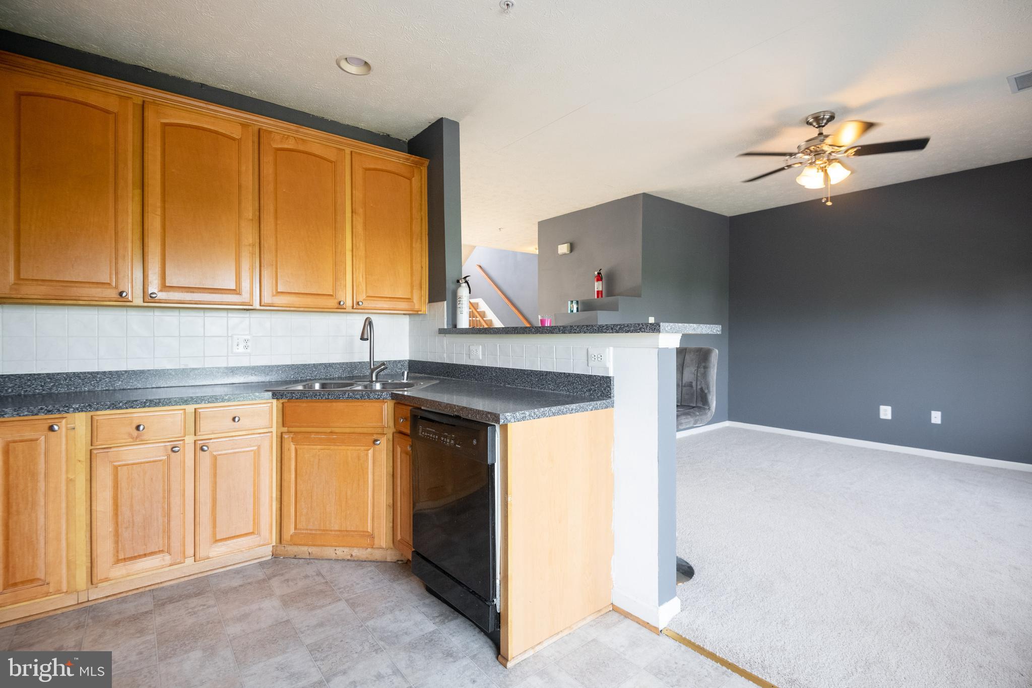 VILLAGE OF MILL RUN - Residential