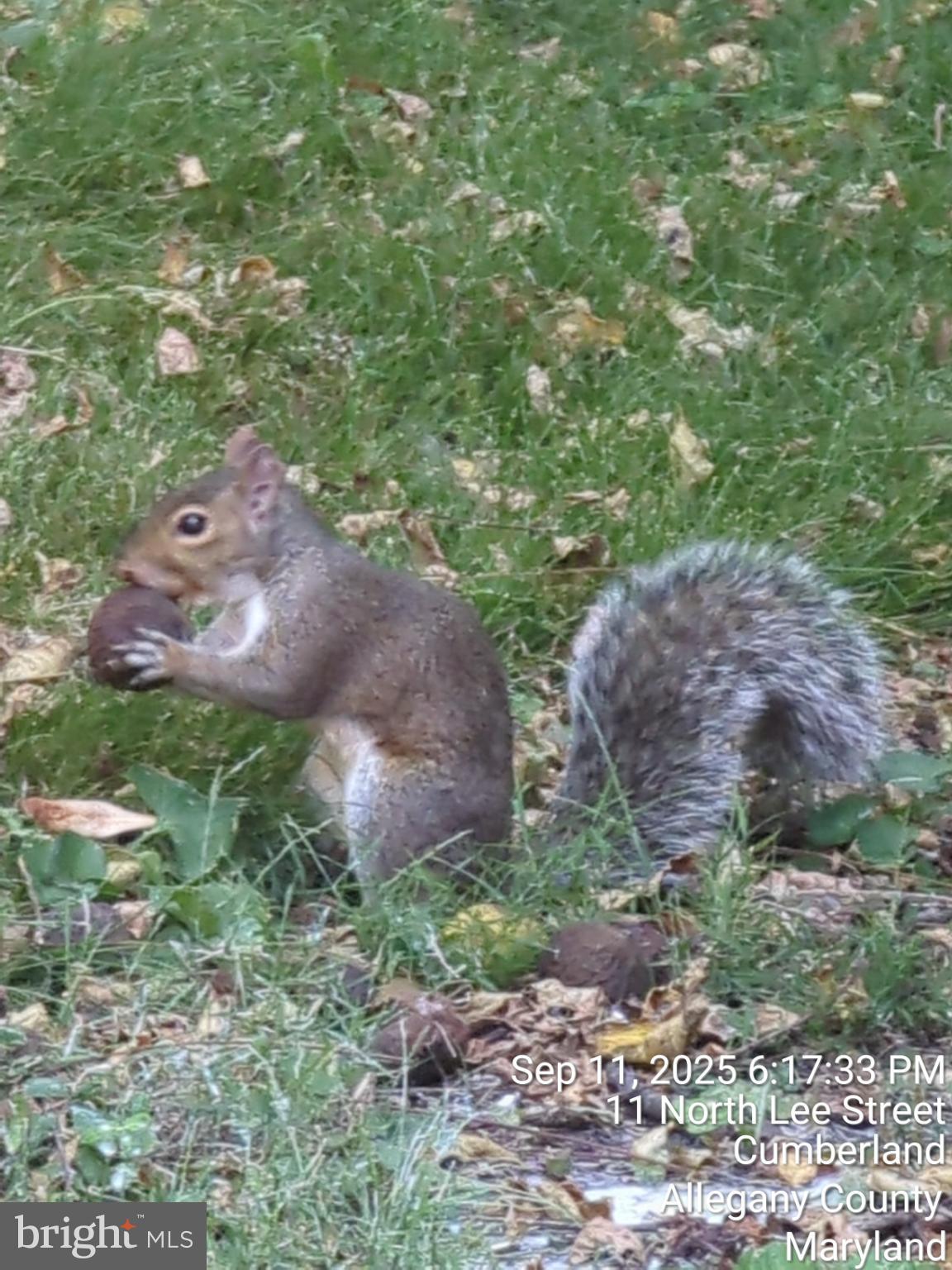 WEST SIDE - Residential