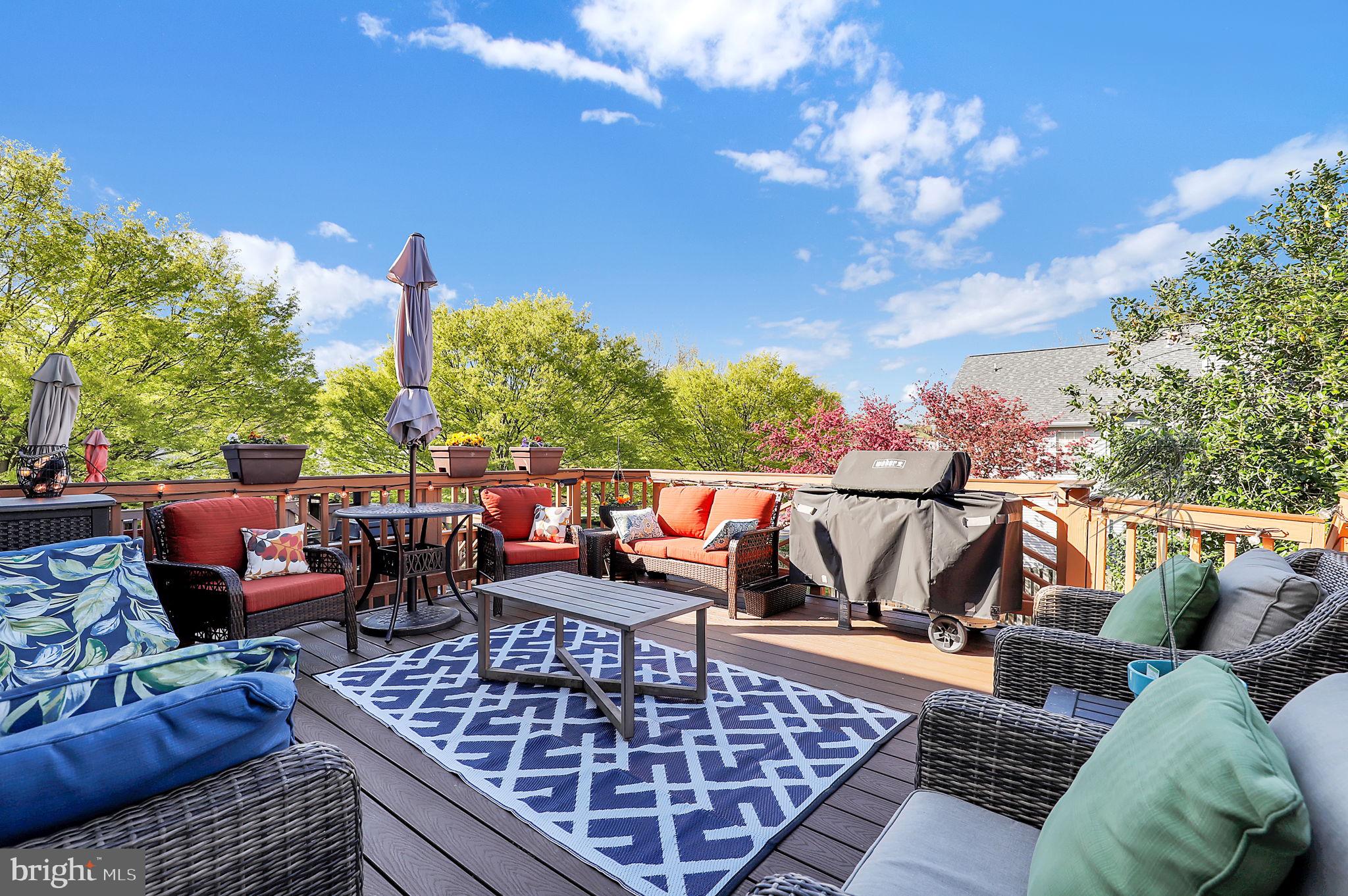 GUNNERS LAKE VILLAGE - Residential