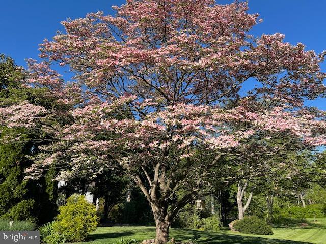 SNOW HILL - Residential