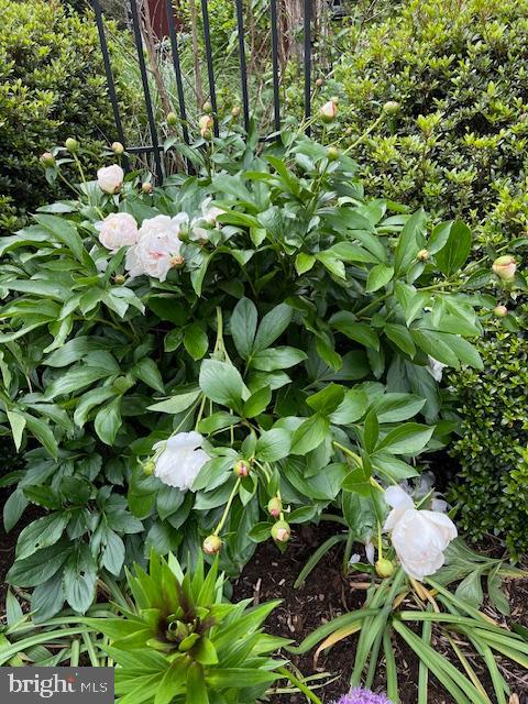 SNOW HILL - Residential