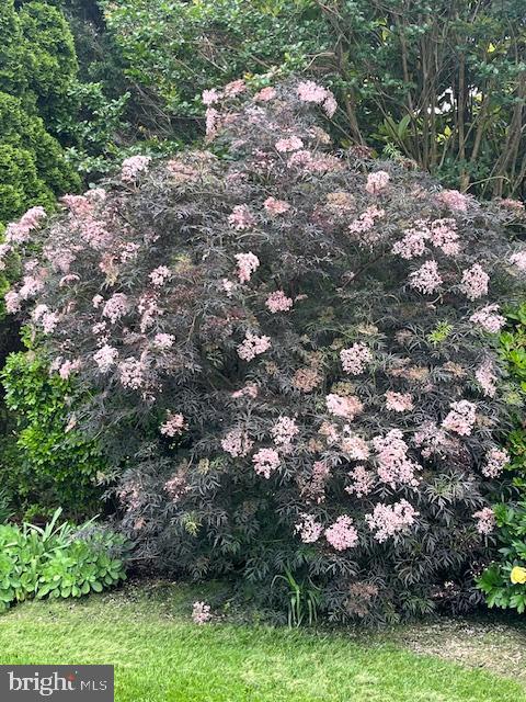 SNOW HILL - Residential