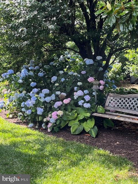 SNOW HILL - Residential