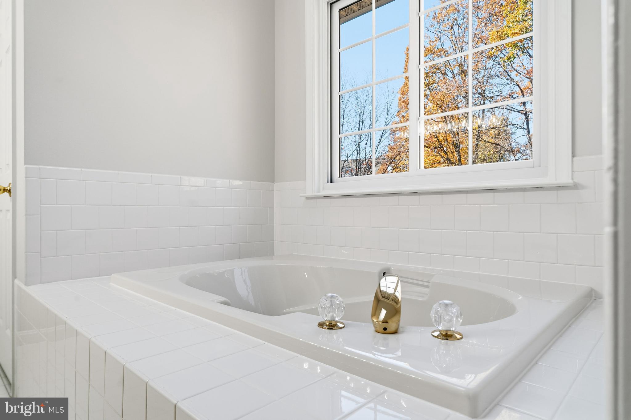 DISNEY ESTATES - Residential