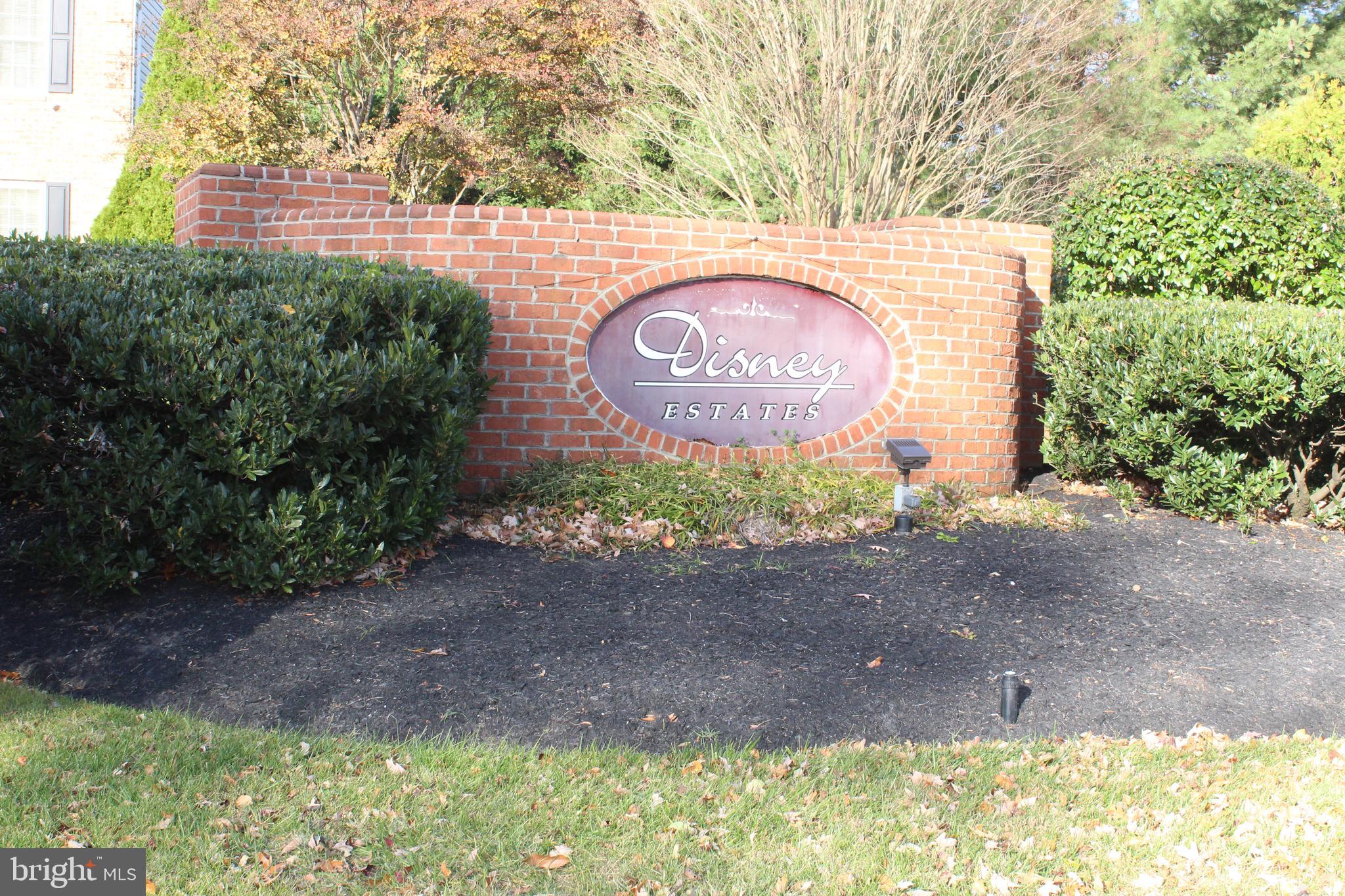 DISNEY ESTATES - Residential