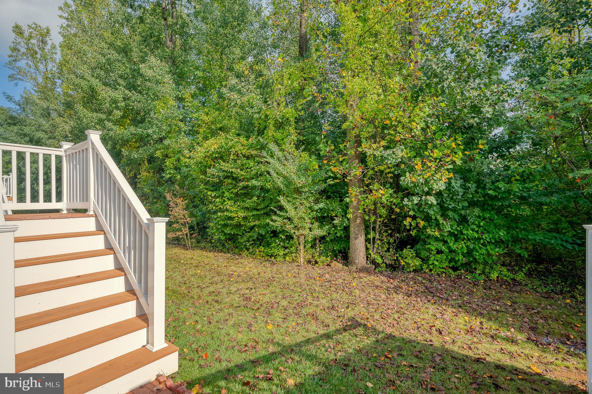 FALLSTON COMMONS - Residential