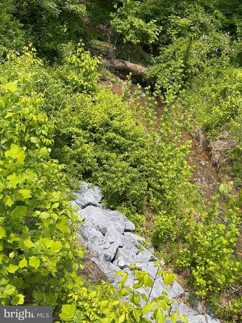 POTOMAC BRUNSWICK MD 21716