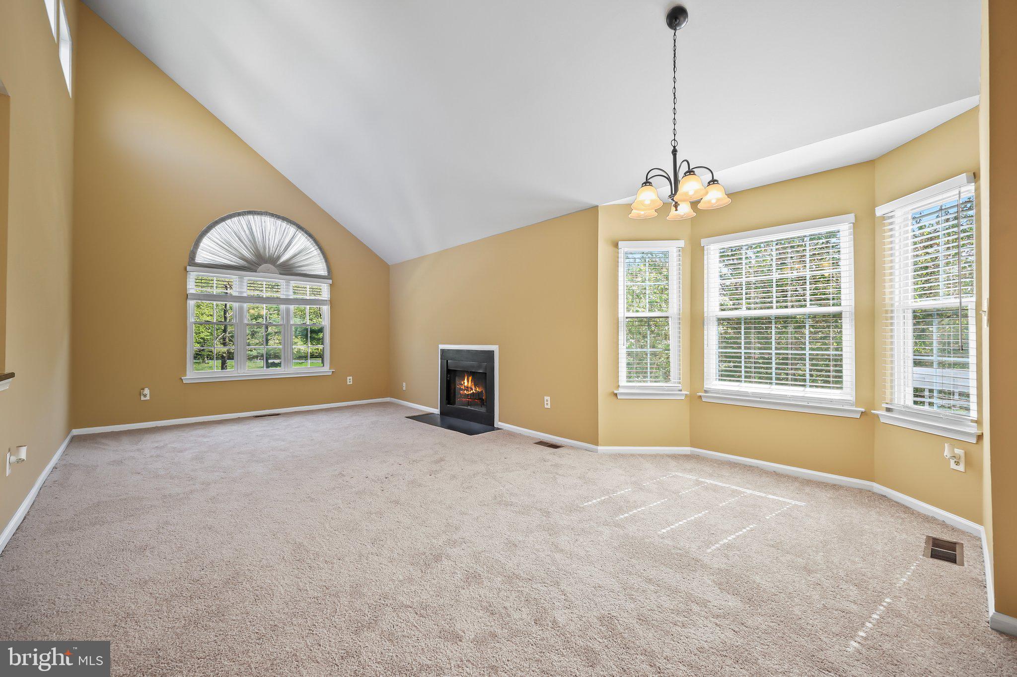 230 MILL RUN COURT
