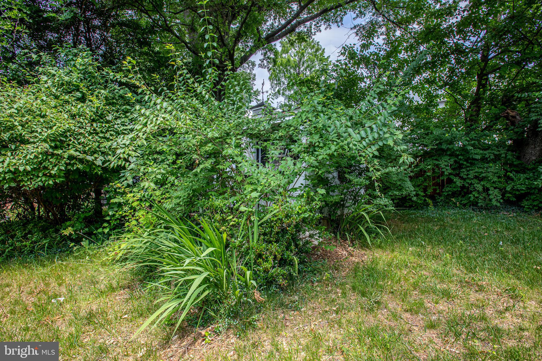 SILVER SPRING - Residential Lease