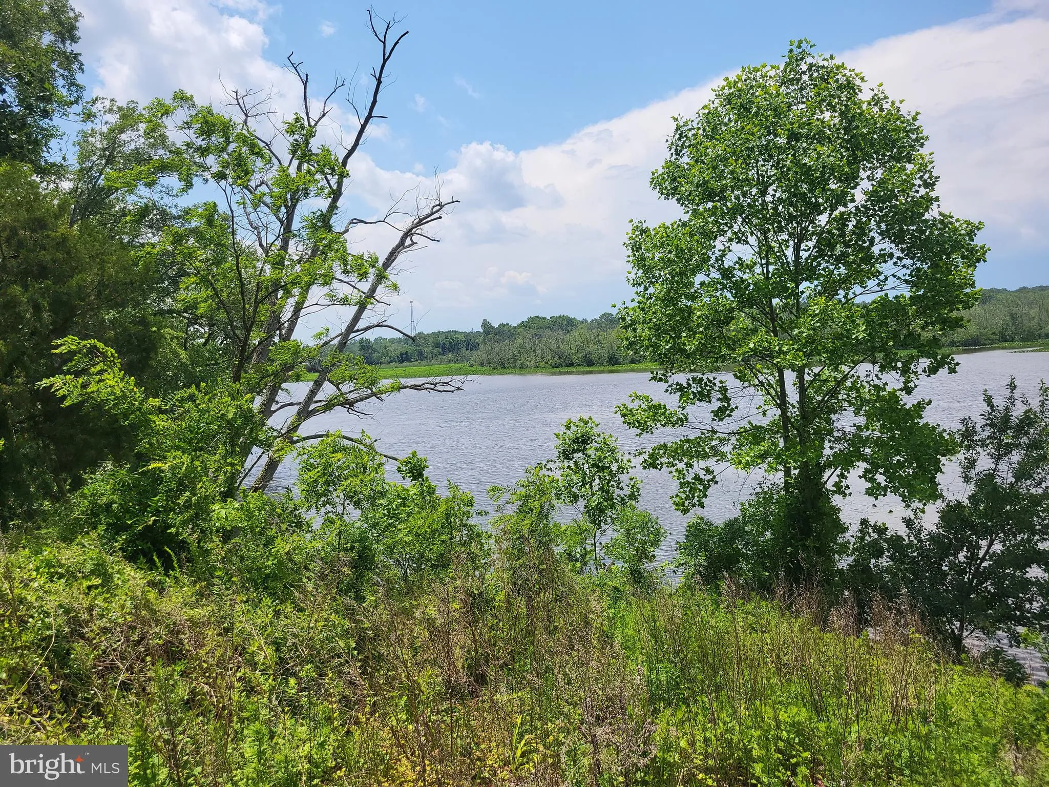 Denton, Maryland 21629, United States, 1 Bedroom Bedrooms, ,1 BathroomBathrooms,Residential,Contingent,204710