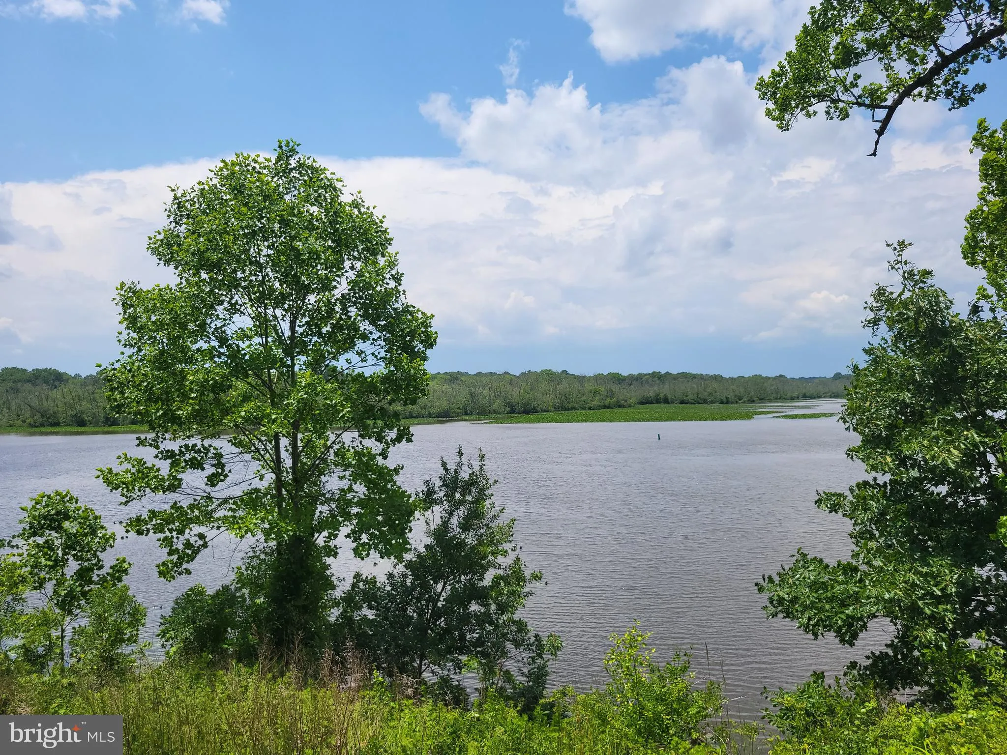 Denton, Maryland 21629, United States, 1 Bedroom Bedrooms, ,1 BathroomBathrooms,Residential,Contingent,204710