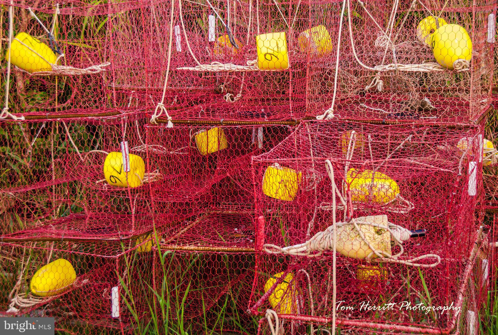 NORTH CHESAPEAKE BEACH - Residential