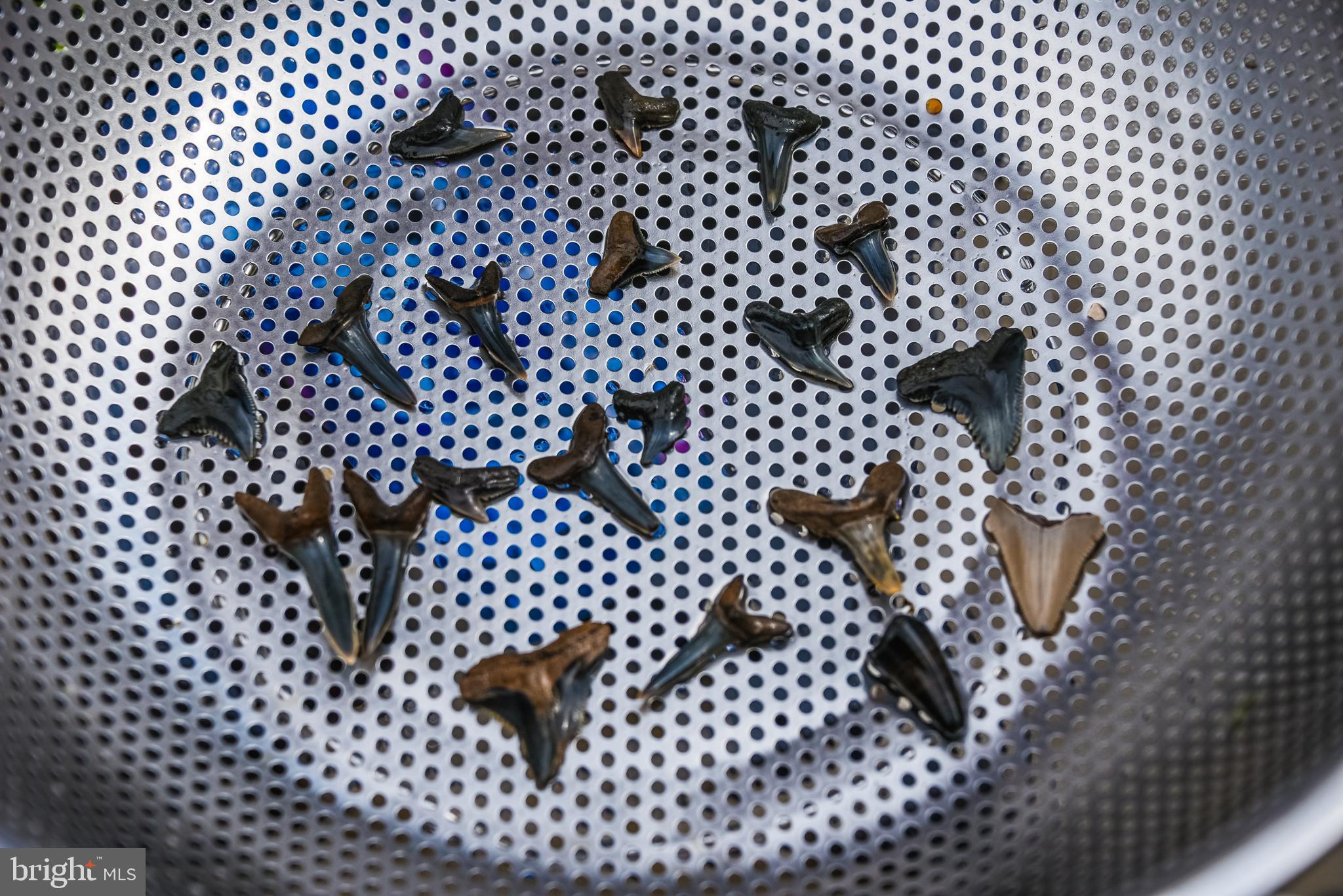 NORTH CHESAPEAKE BEACH - Residential