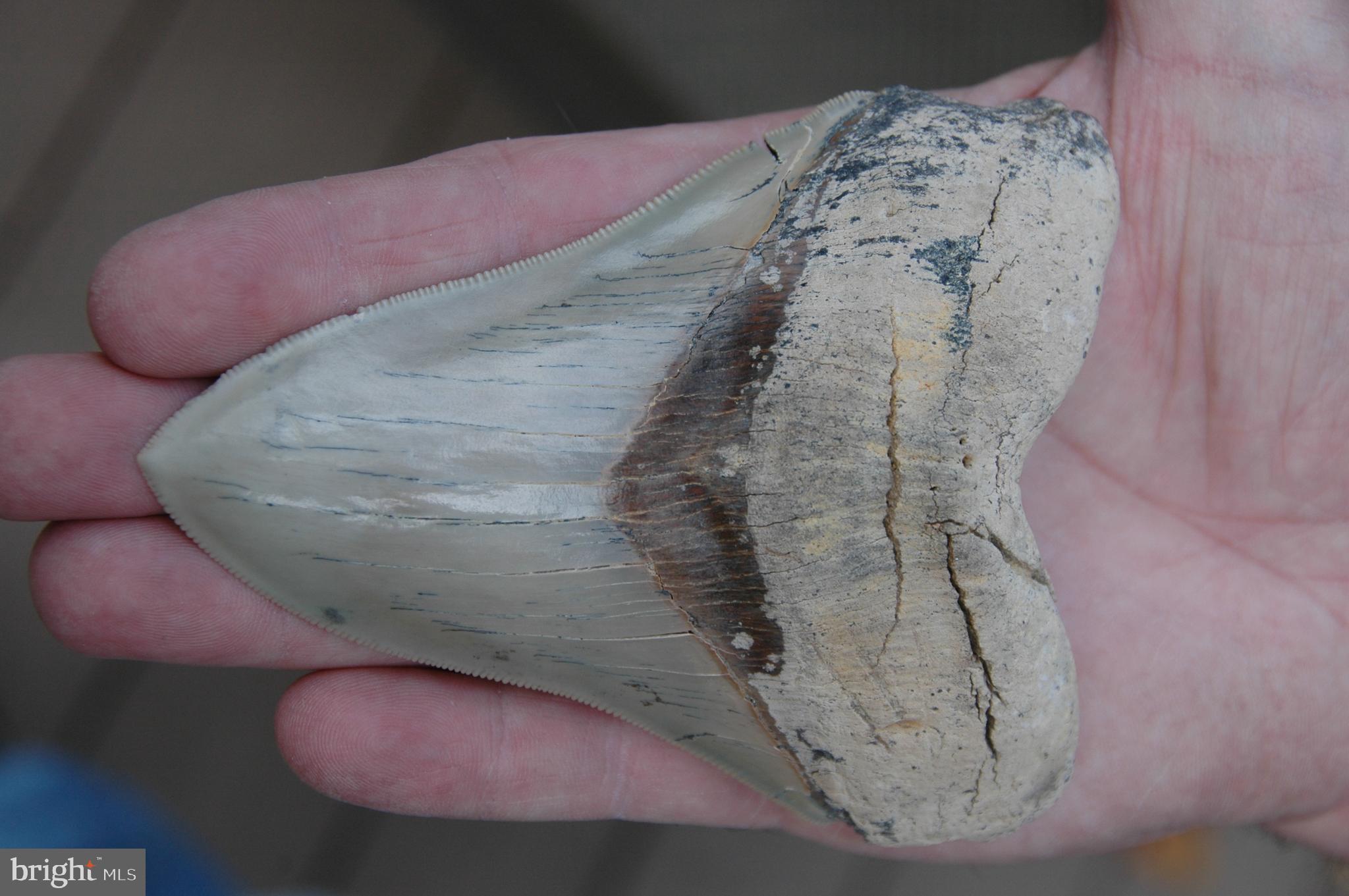 NORTH CHESAPEAKE BEACH - Residential