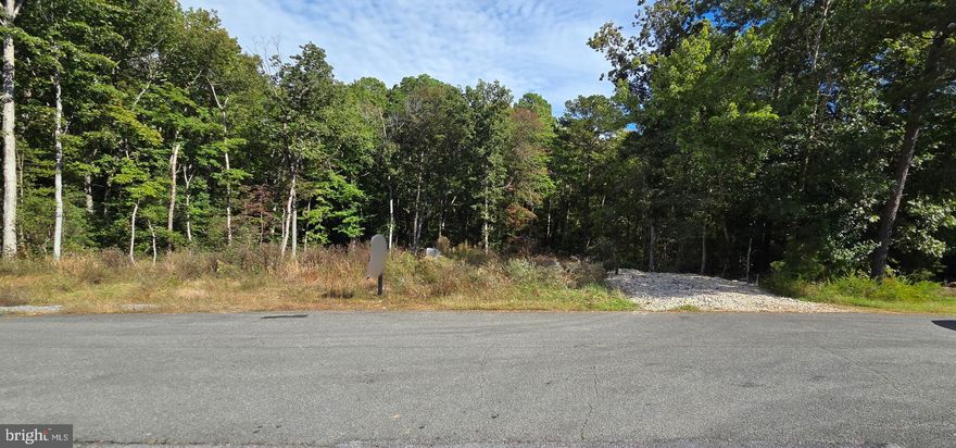 Peaceful Coastal Lot Near the Beach — Just Under One Acre!

Discover the perfect blend of privacy and convenience with this beautiful vacant lot, nestled in a quiet, partially cleared setting just under one acre. Located less than a mile from the waterfront and Elm’s Beach Park, and just seven minutes from the Patuxent River Naval Base, this property offers endless possibilities.

Whether you’re looking to build your family’s dream home, create a peaceful retirement retreat, or establish a second home for weekend getaways, this location has it all. Enjoy the serenity of a secluded neighborhood while being just 15 minutes from shopping, dining, and local amenities.

Experience coastal living at its best — close to the beach, away from the noise, and surrounded by natural beauty.