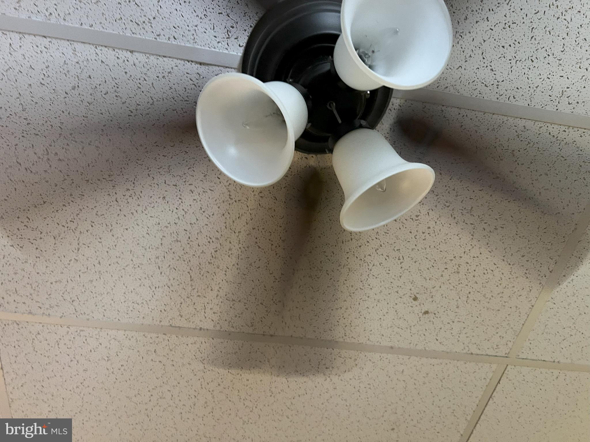 CLIFTON HEIGHTS - Residential Lease