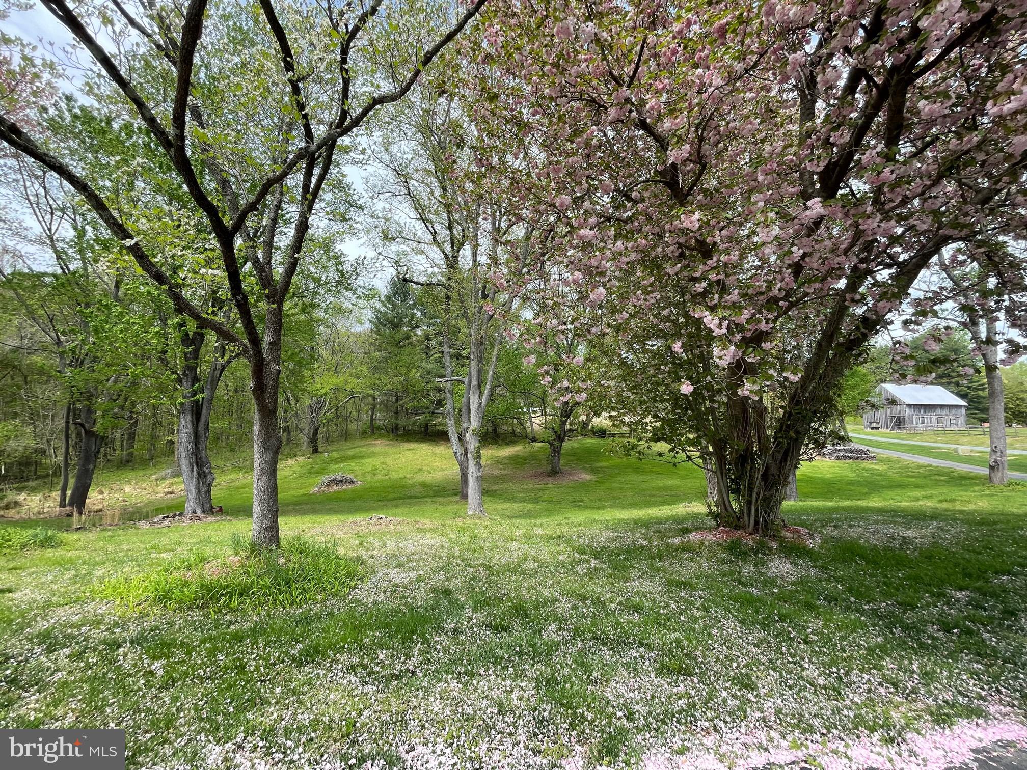 CALVERT MANOR - Residential