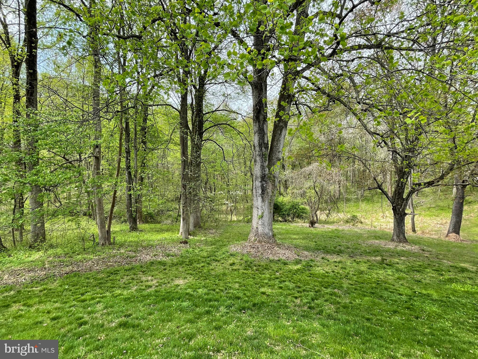 CALVERT MANOR - Residential