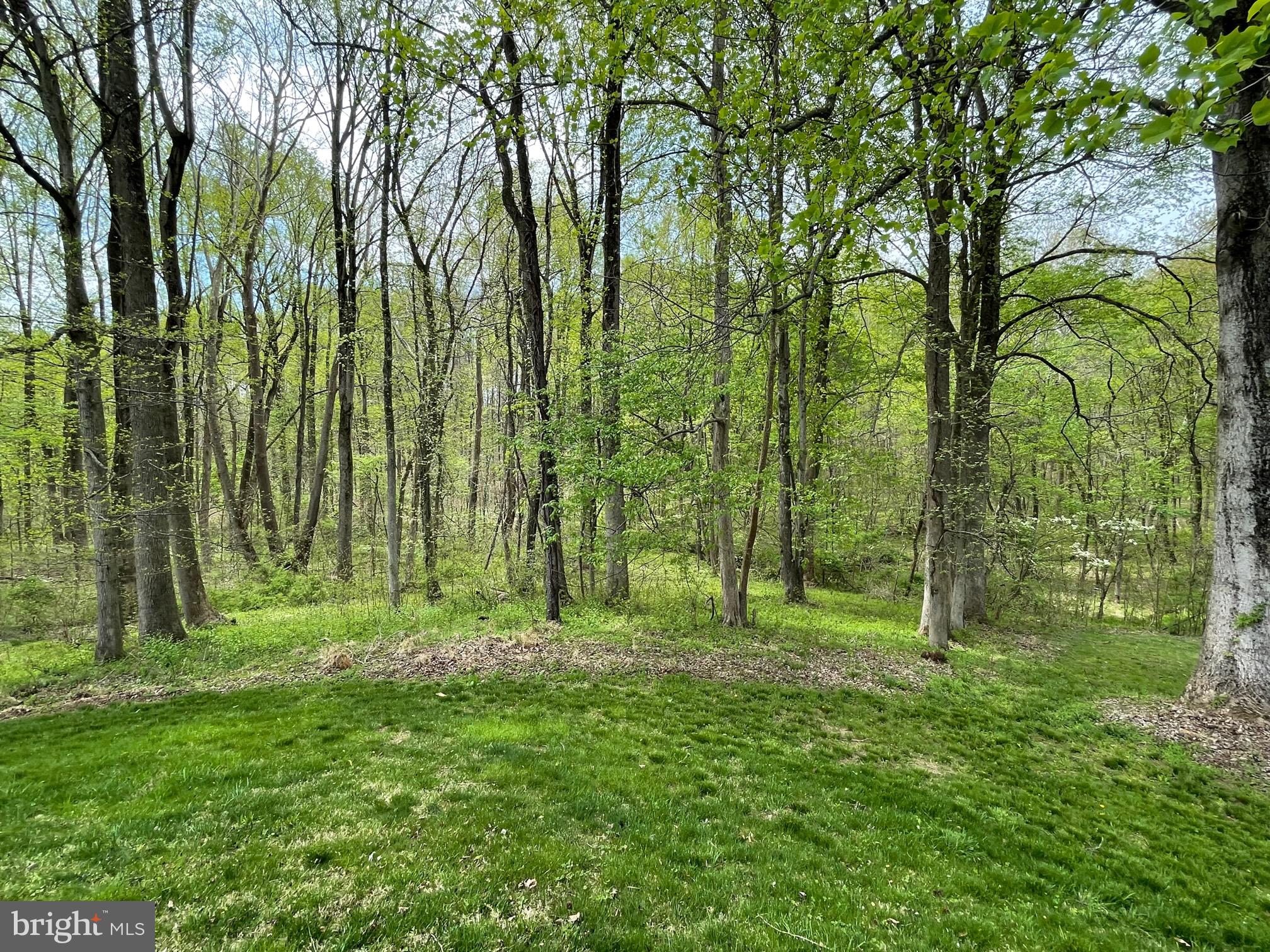 CALVERT MANOR - Residential