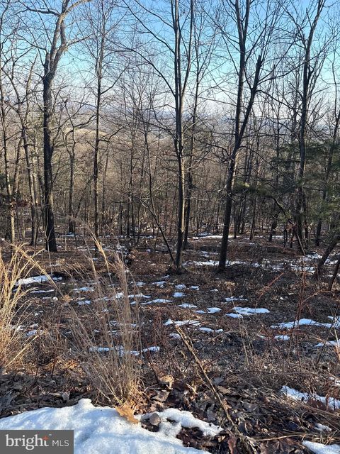 16251 SUMNEY DRIVE HAYMARKET VA 20169