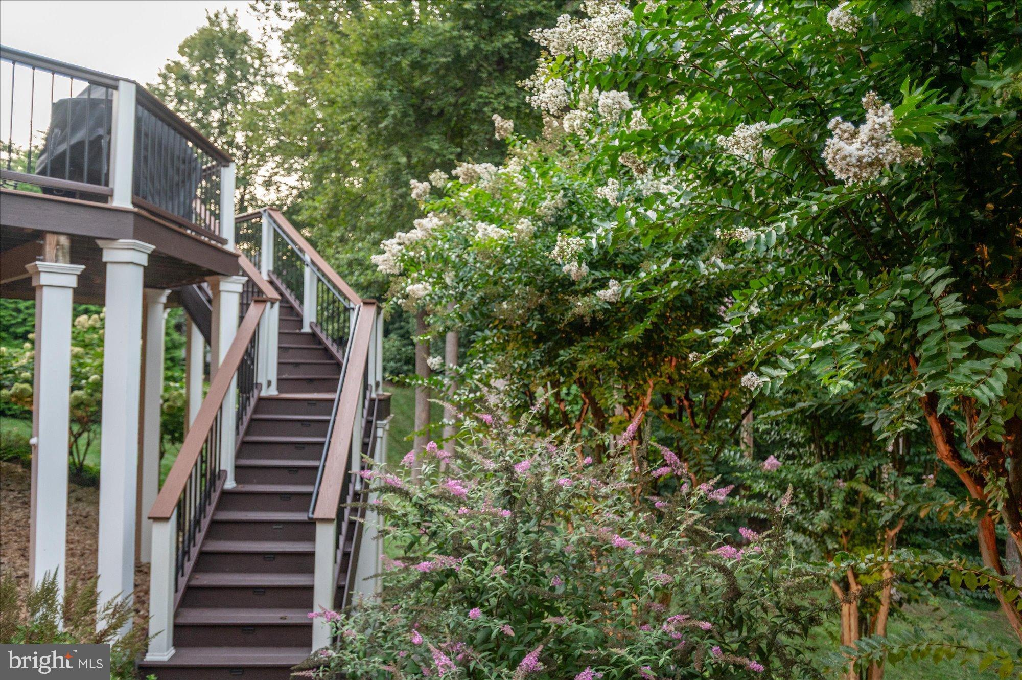 ESTATES AT LOWES ISLAND - Residential