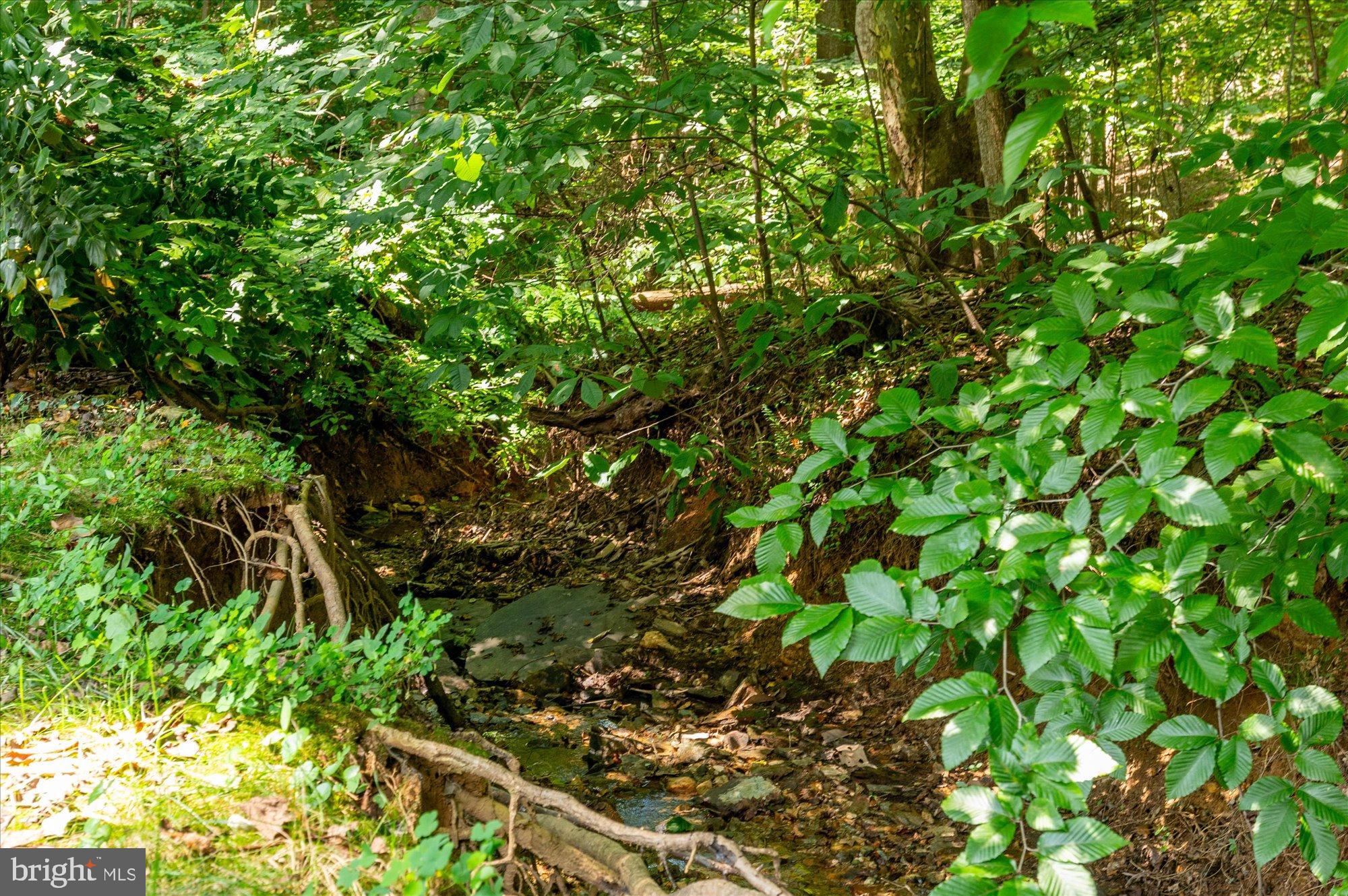 ESTATES AT LOWES ISLAND - Residential