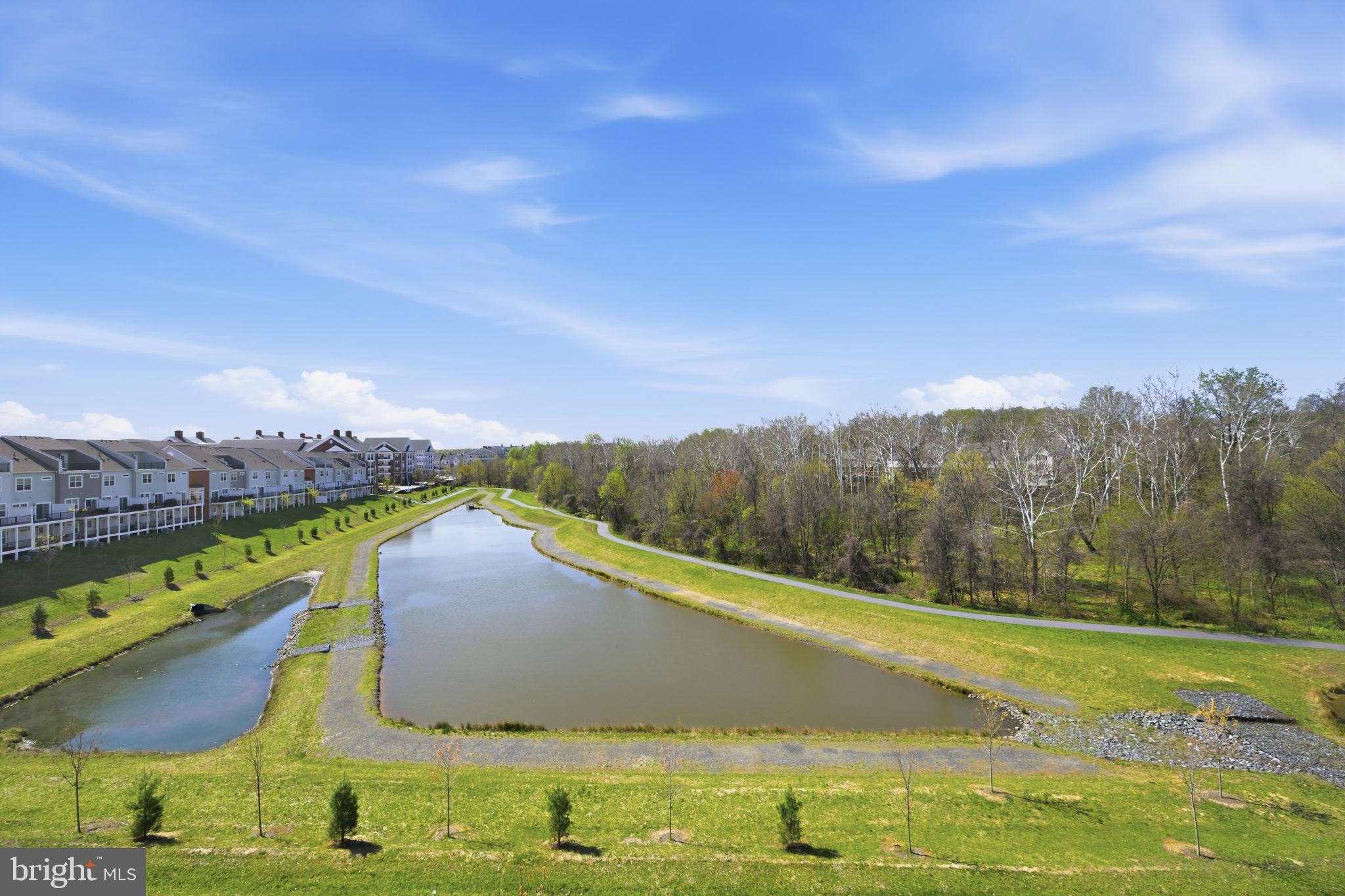 BLUE STREAM - Residential