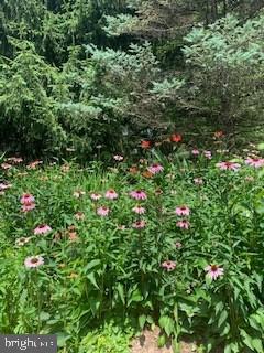 HUNTING HILLS - Residential